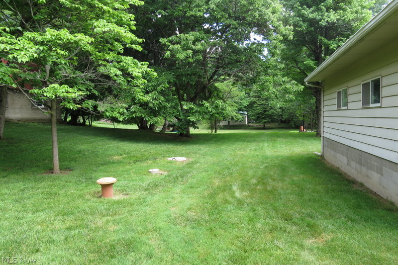 2953 Hayne Road Akron, OH 44312 - Photo 22 of 24 Long peaceful property! Lots of mature trees! The backyard is the perfect home away from home