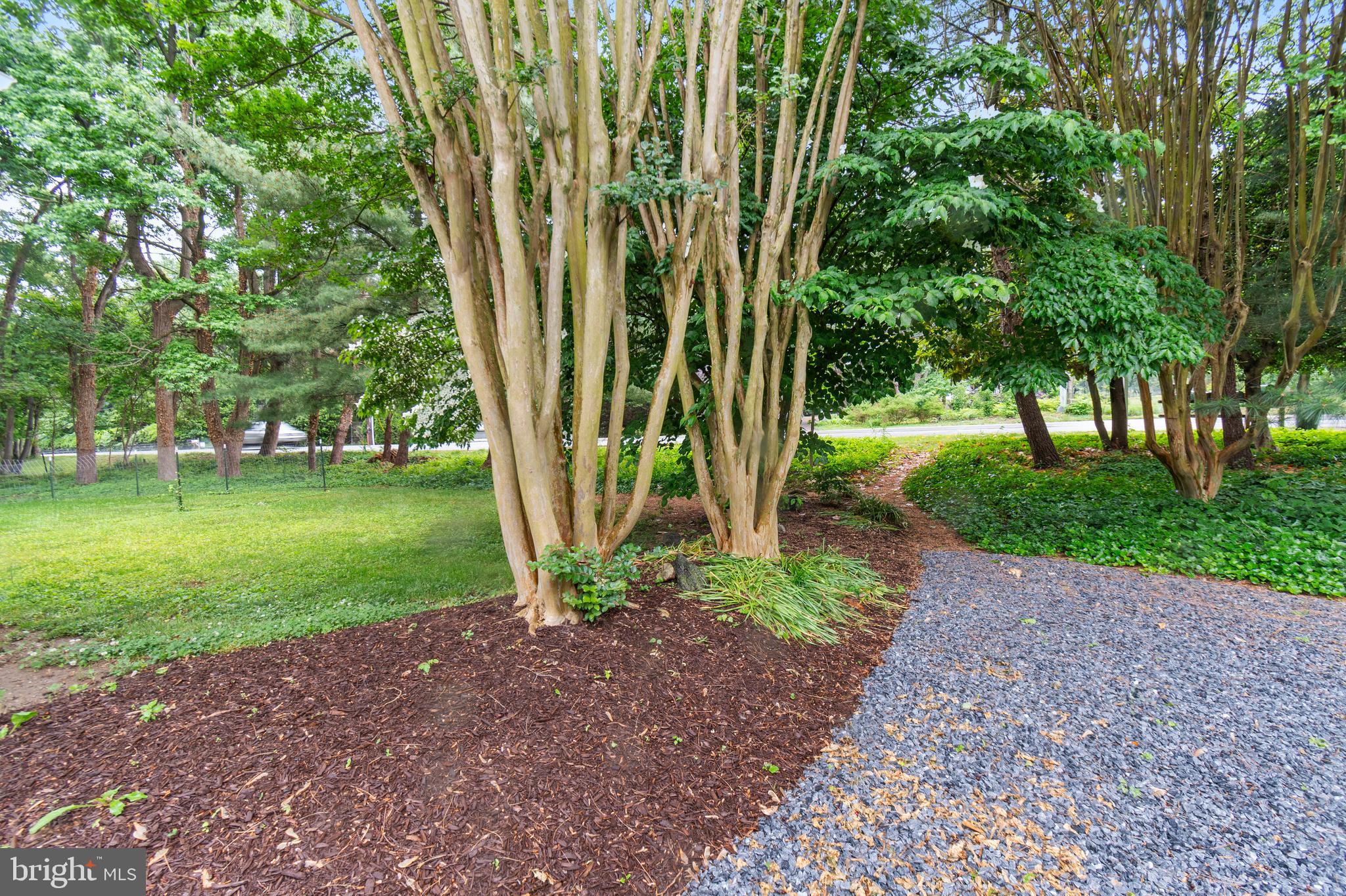 1132 Bay Ridge Road Annapolis, MD 21403 - Photo 40 of 49 Beautifully landscaped