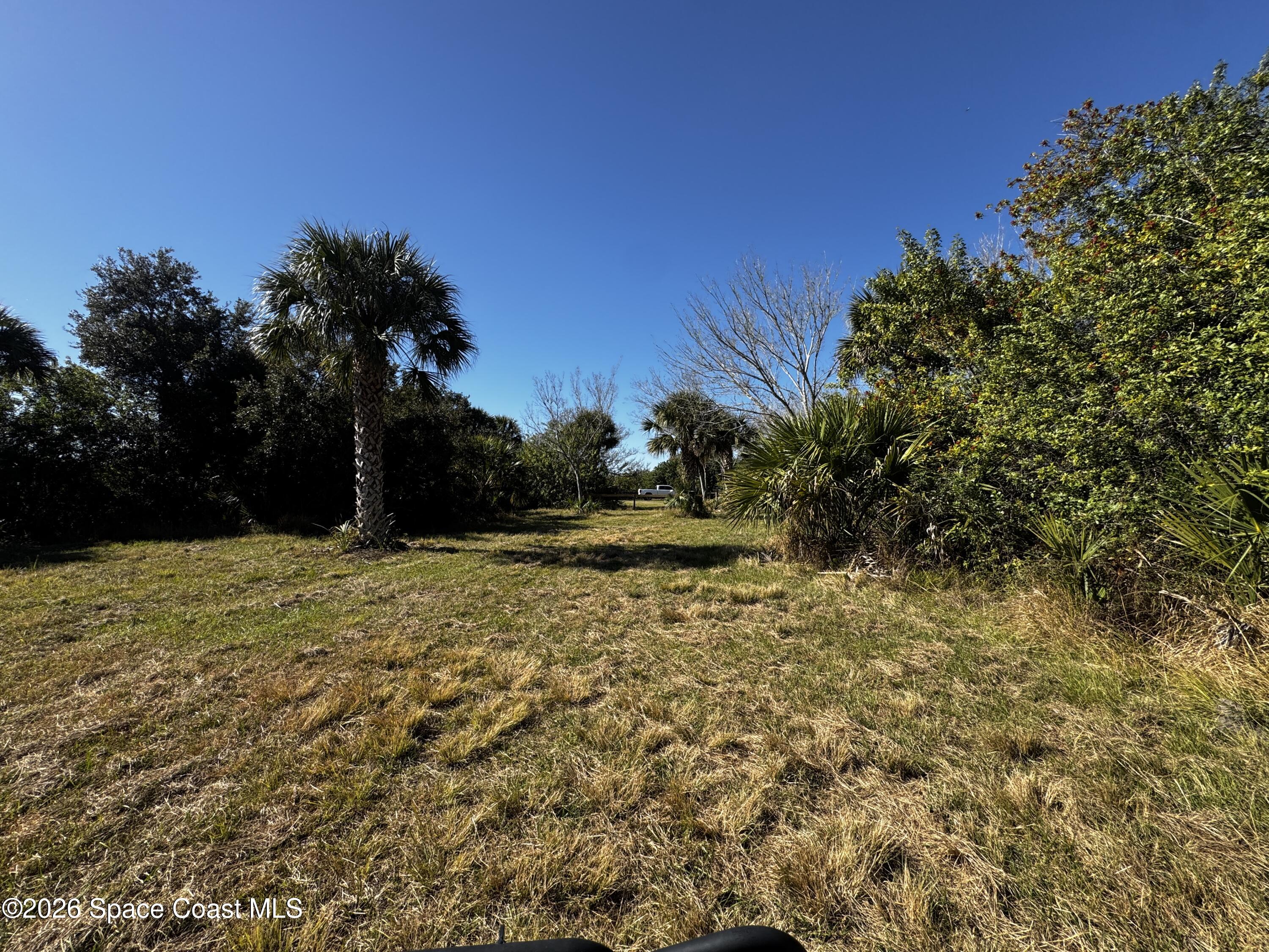 0 Grantline 10 Acres Road Mims, FL 32754 - Photo 12 of 15 IMG_8248