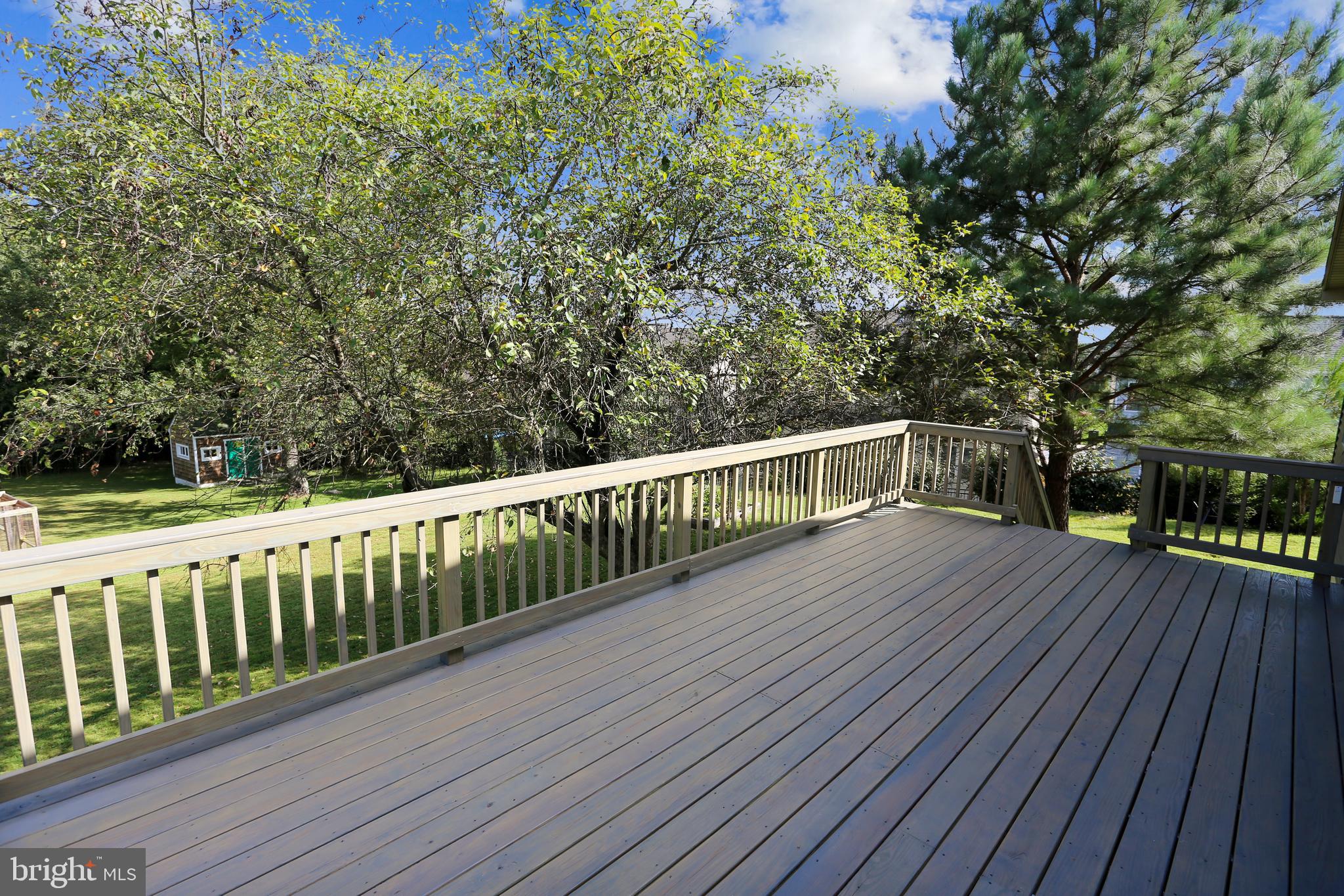 13701 Alderton Road Silver Spring, MD 20906 - Photo 13 of 59