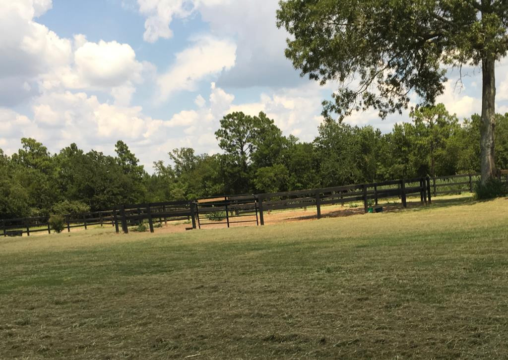 405 Cadle Crossing Road Windsor, SC 29856 - Photo 39 of 43