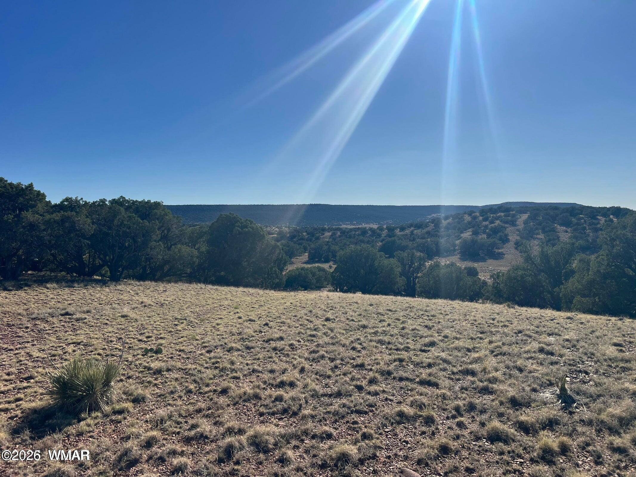 2 N8604 Concho, AZ 85924 - Photo 19 of 24
