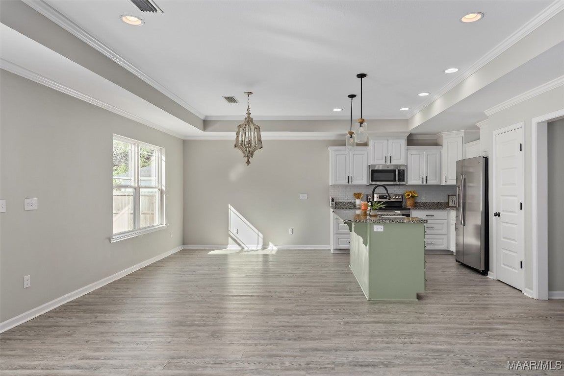 480 Jones Road Newton, AL 36352 - Photo 4 of 27 Gallery Image 4