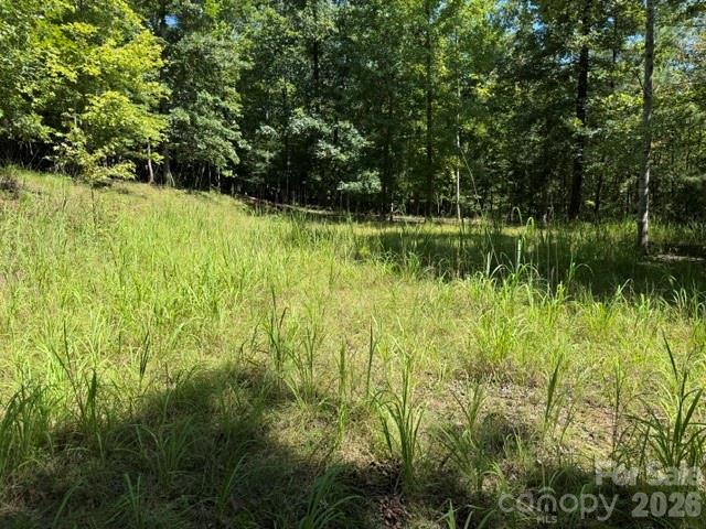 0 Elliott Lane, Unit 51 Rutherfordton, NC 28139 - Photo 8 of 11 Gallery Image 8