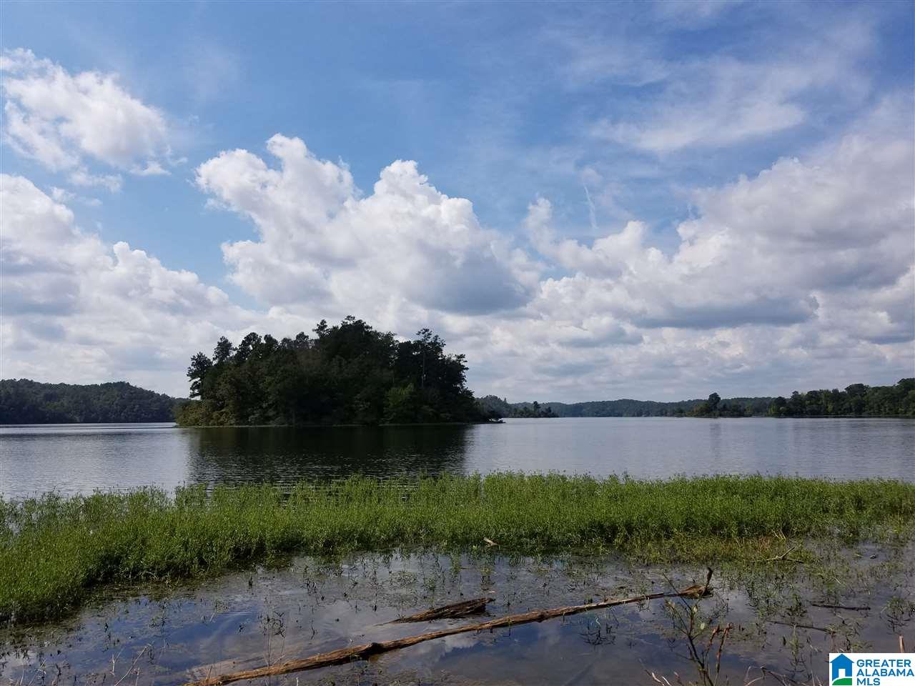 Lot 11 Eagle Mountain Road, Unit 11 Alexander City, AL 35010 - Photo 3 of 11