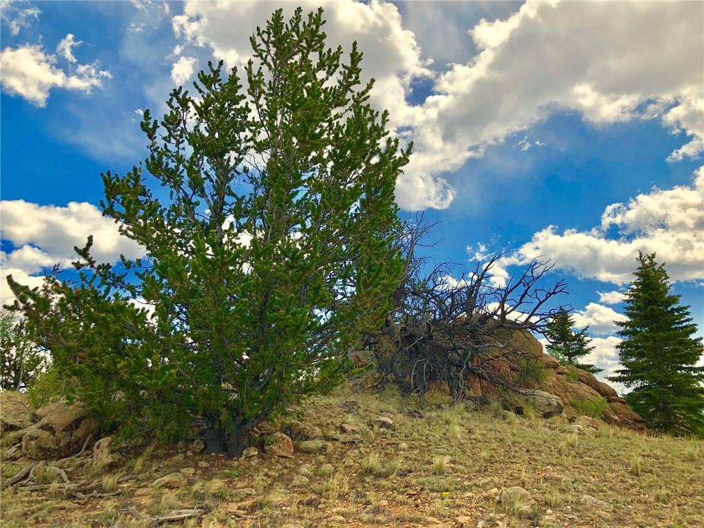 180 Buckhorn Road Como, CO 80456 - Photo 9 of 16 a sunset view with a tree