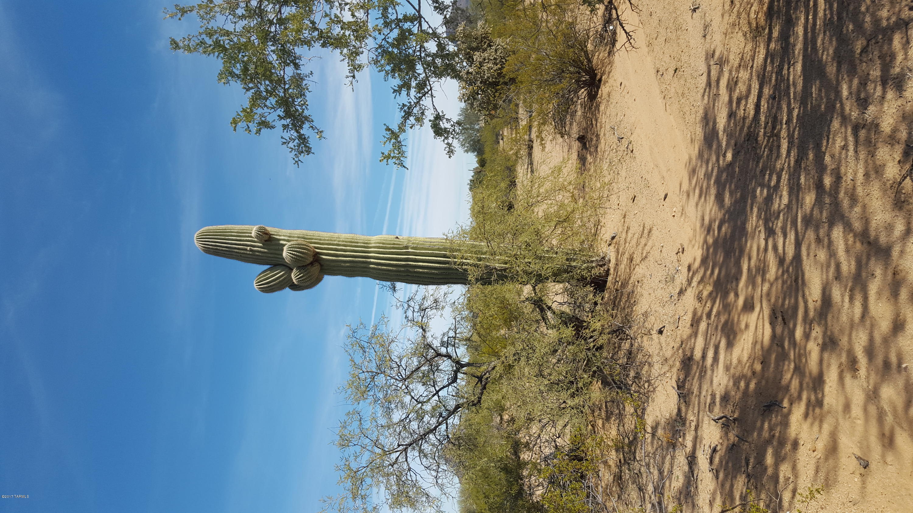 6860 North Sandario Road, Unit 7ACRES Tucson, AZ 85743 - Photo 20 of 23 Gallery Image 20