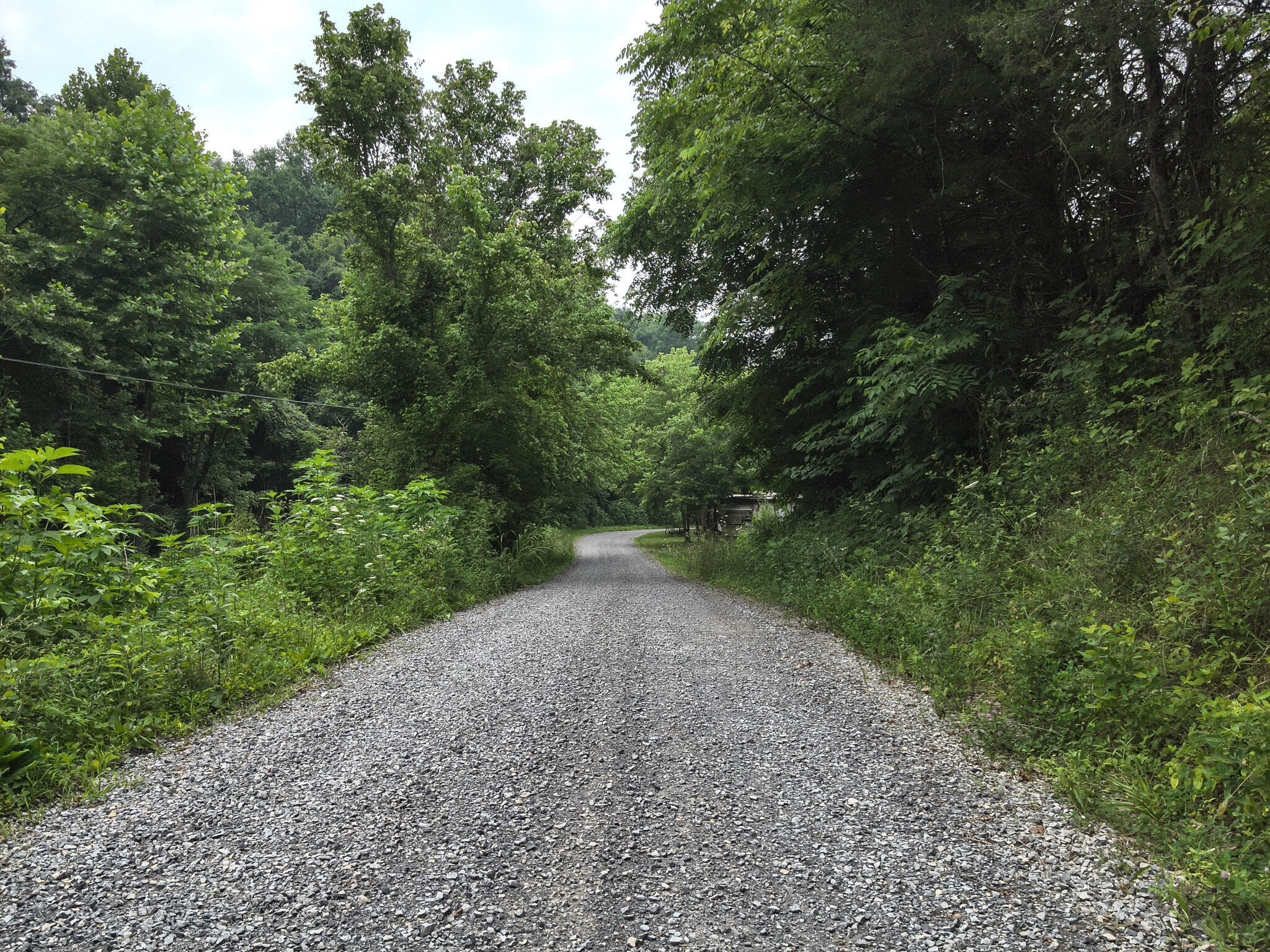 Tbd Bear Creek Road Bybee, TN 37713 - Photo 34 of 49 18. Road View