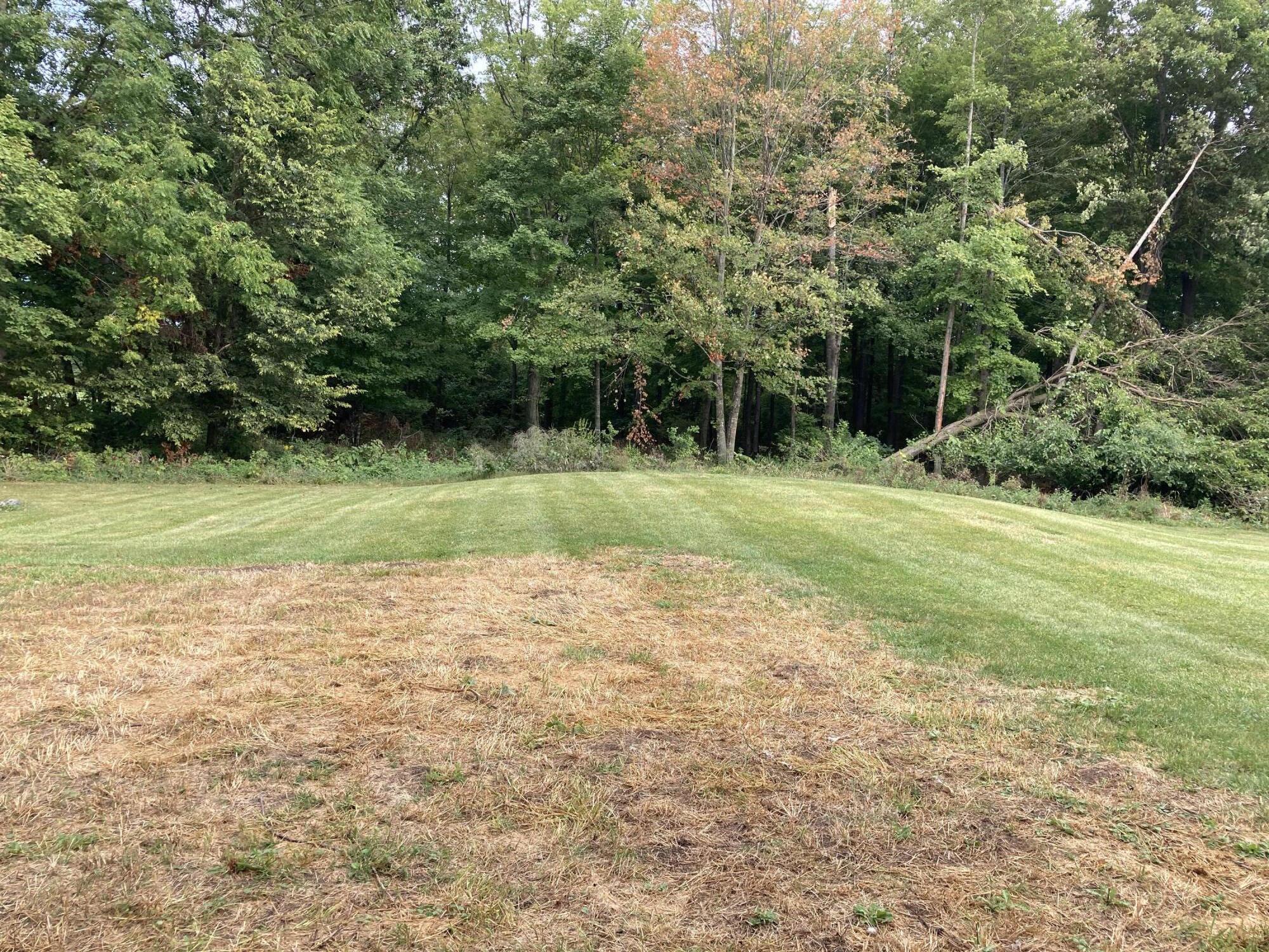952 Lukesport Road Quincy, MI 49082 - Photo 23 of 28 6611AC63-BA7F-4601-81FC-B117FE941E9E