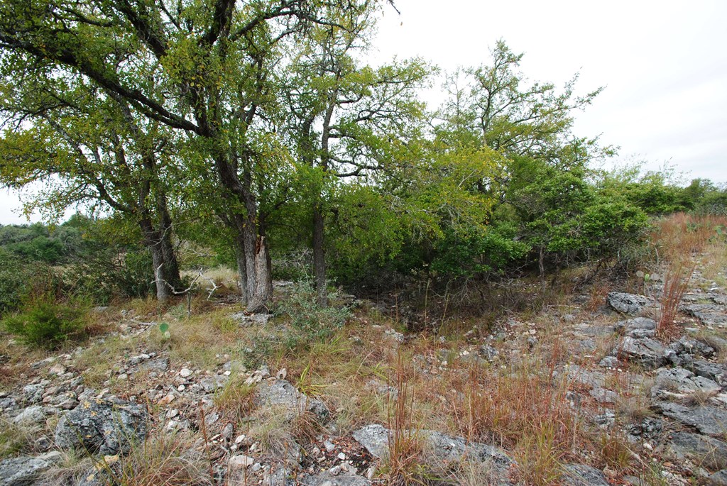 0 Reeh Road Fredericksburg, TX 78624 - Photo 14 of 19 Gallery Image 14