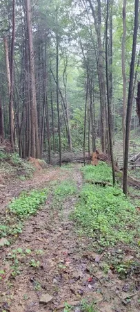 $625,000 | 0 Prong Of Clear Fork, Jamestown, TN 38556