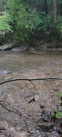 $625,000 | 0 Prong Of Clear Fork, Jamestown, TN 38556