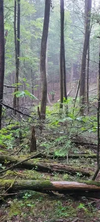 $625,000 | 0 Prong Of Clear Fork, Jamestown, TN 38556