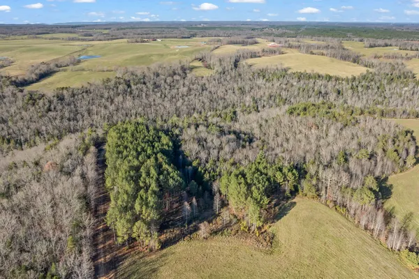 $625,000 | 0 Prong Of Clear Fork, Jamestown, TN 38556