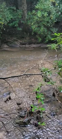 $625,000 | 0 Prong Of Clear Fork, Jamestown, TN 38556