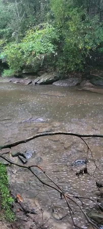 $625,000 | 0 Prong Of Clear Fork, Jamestown, TN 38556