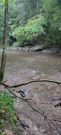 $625,000 | 0 Prong Of Clear Fork, Jamestown, TN 38556