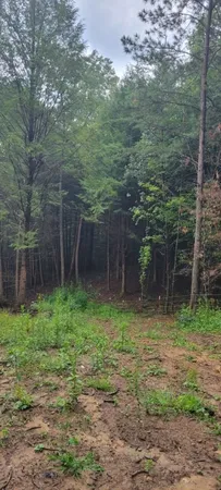 $625,000 | 0 Prong Of Clear Fork, Jamestown, TN 38556