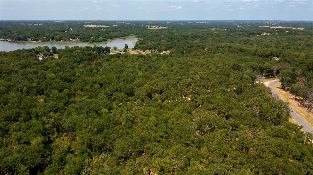 7321 Ranch Oaks Trail Malakoff, TX 75148 - Photo 9 of 21 a view of a city