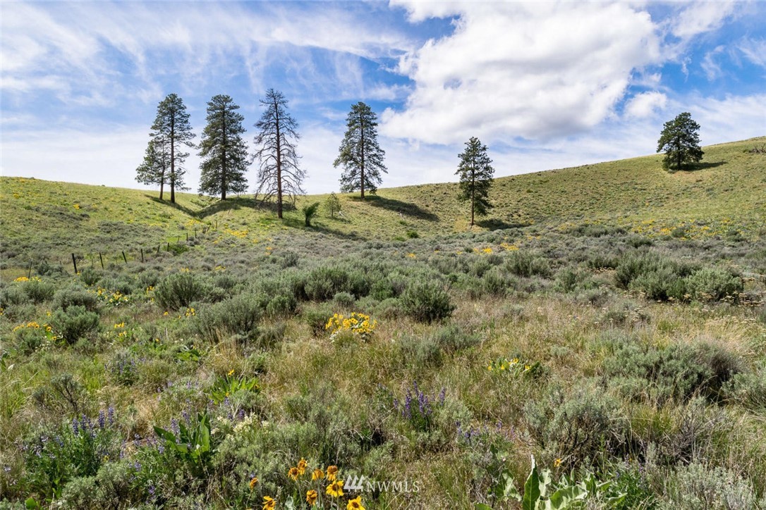 -nna Kingsbury Road Wenatchee, WA 98801 - Photo 1 of 6 Gallery Image 1