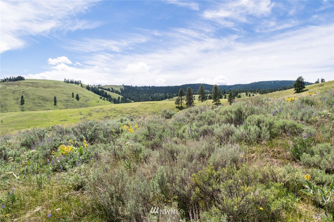 -nna Kingsbury Road Wenatchee, WA 98801 - Photo 2 of 6 Gallery Image 2