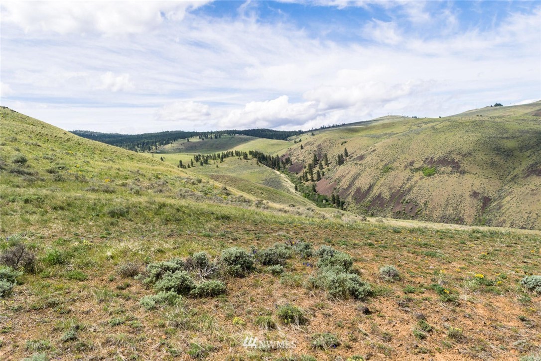 -nna Kingsbury Road Wenatchee, WA 98801 - Photo 3 of 6 Gallery Image 3