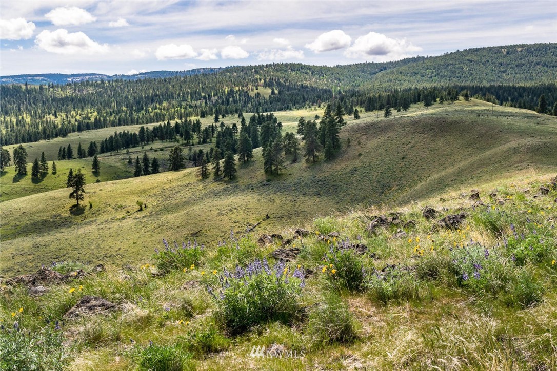 -nna Kingsbury Road Wenatchee, WA 98801 - Photo 5 of 6 Gallery Image 5