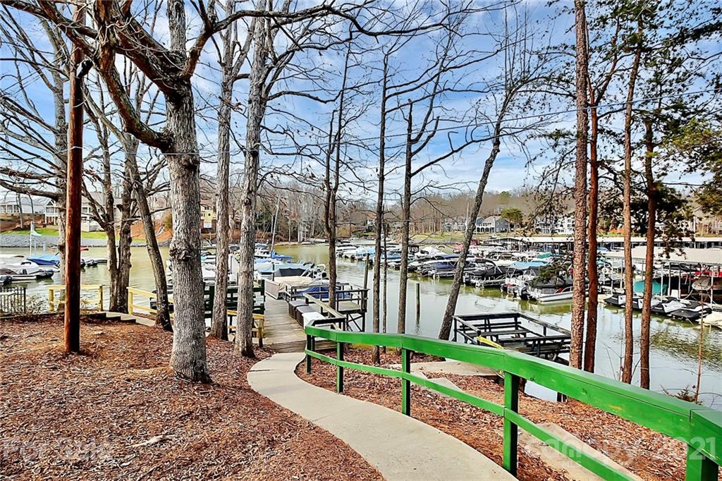 29032 Snapper Point Tega Cay, SC 29708 - Photo 40 of 48 a city view with tall trees