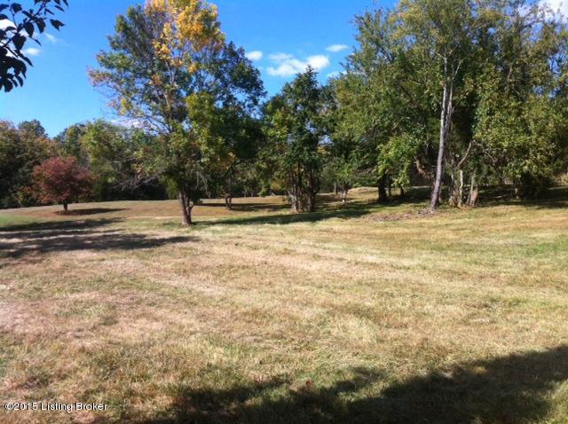 15902 Piercy Mill Road Louisville, KY 40245 - Photo 5 of 20 photo4