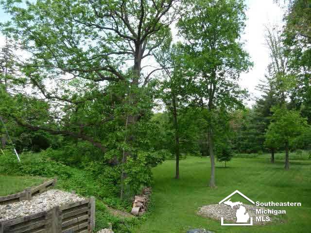 17778 Kent Road Dundee, MI 48131 - Photo 15 of 18 20439606-14.JPG