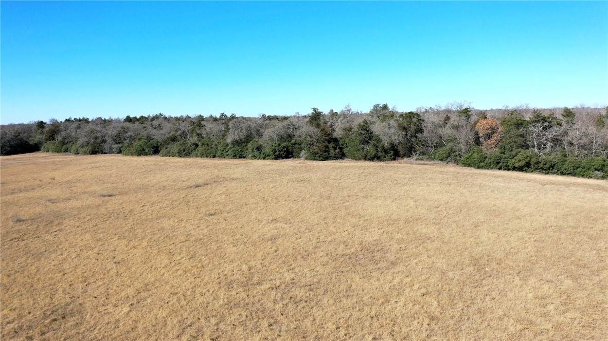 328 Tract 3 10 Acres Road Caldwell, TX 77836 - Photo 21 of 25 a view of an outdoor space with mountain view