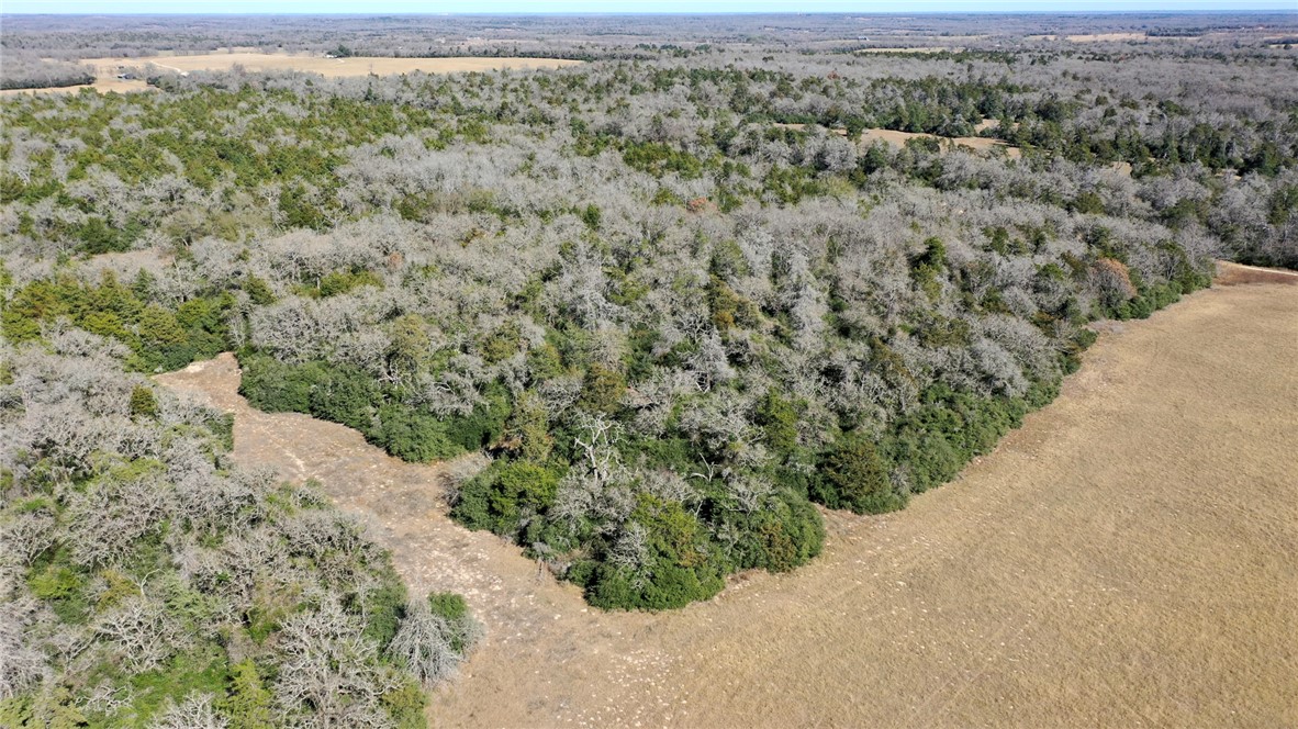 328 Tract 3 10 Acres Road Caldwell, TX 77836 - Photo 23 of 25 a view of a dry yard covered with trees