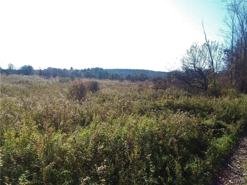 0 Crookshank Road South Utica, NY 13502 - Photo 26 of 32 Gallery Image 26
