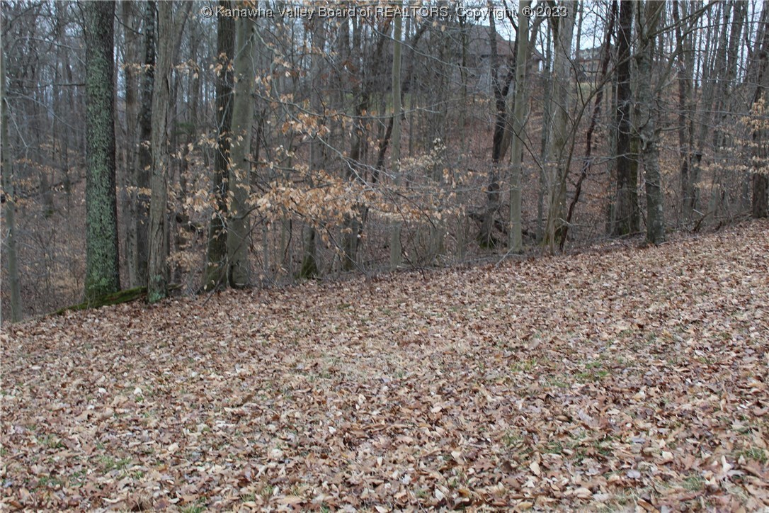 38 Summit Point Drive Eleanor, WV 25070 - Photo 6 of 11 Gallery Image 6