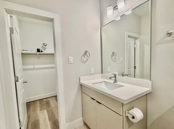 a bathroom with a sink a mirror a vanity and a shower