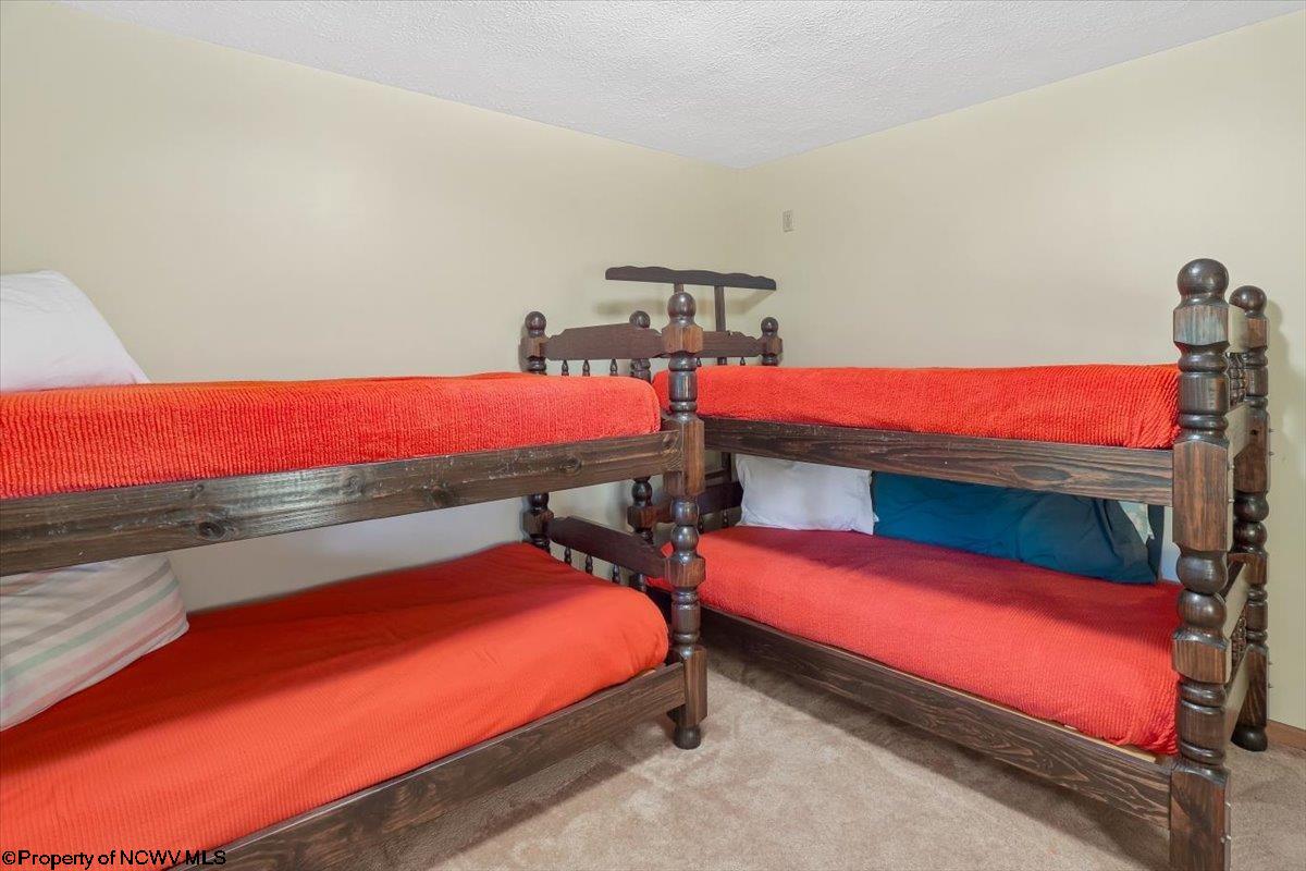 352 Ridge Road Davis, WV 26260 - Photo 24 of 47 Gallery Image 24