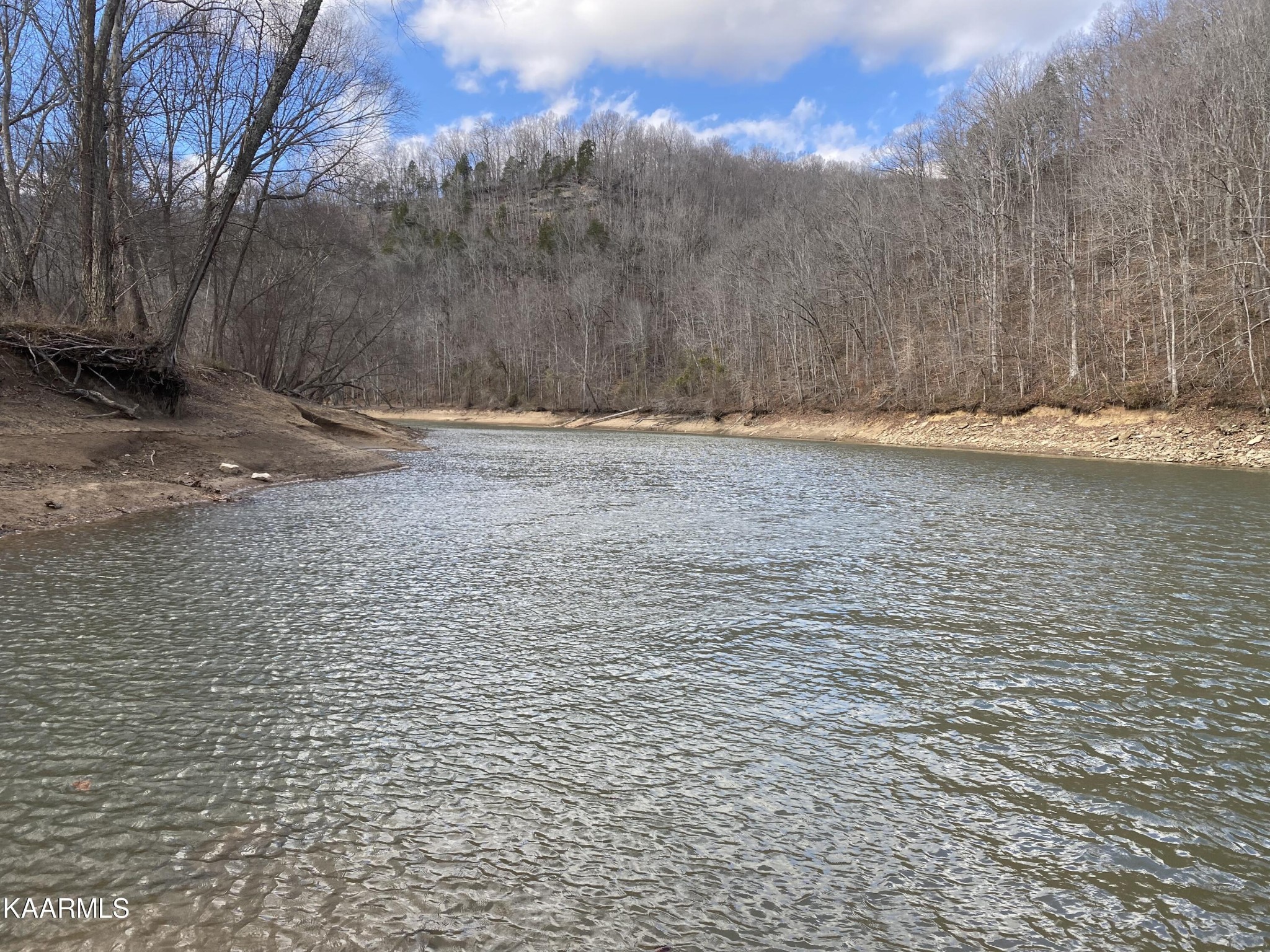 755 Compton Bottom Drive Jamestown, TN 38556 - Photo 22 of 24 a view of a yard