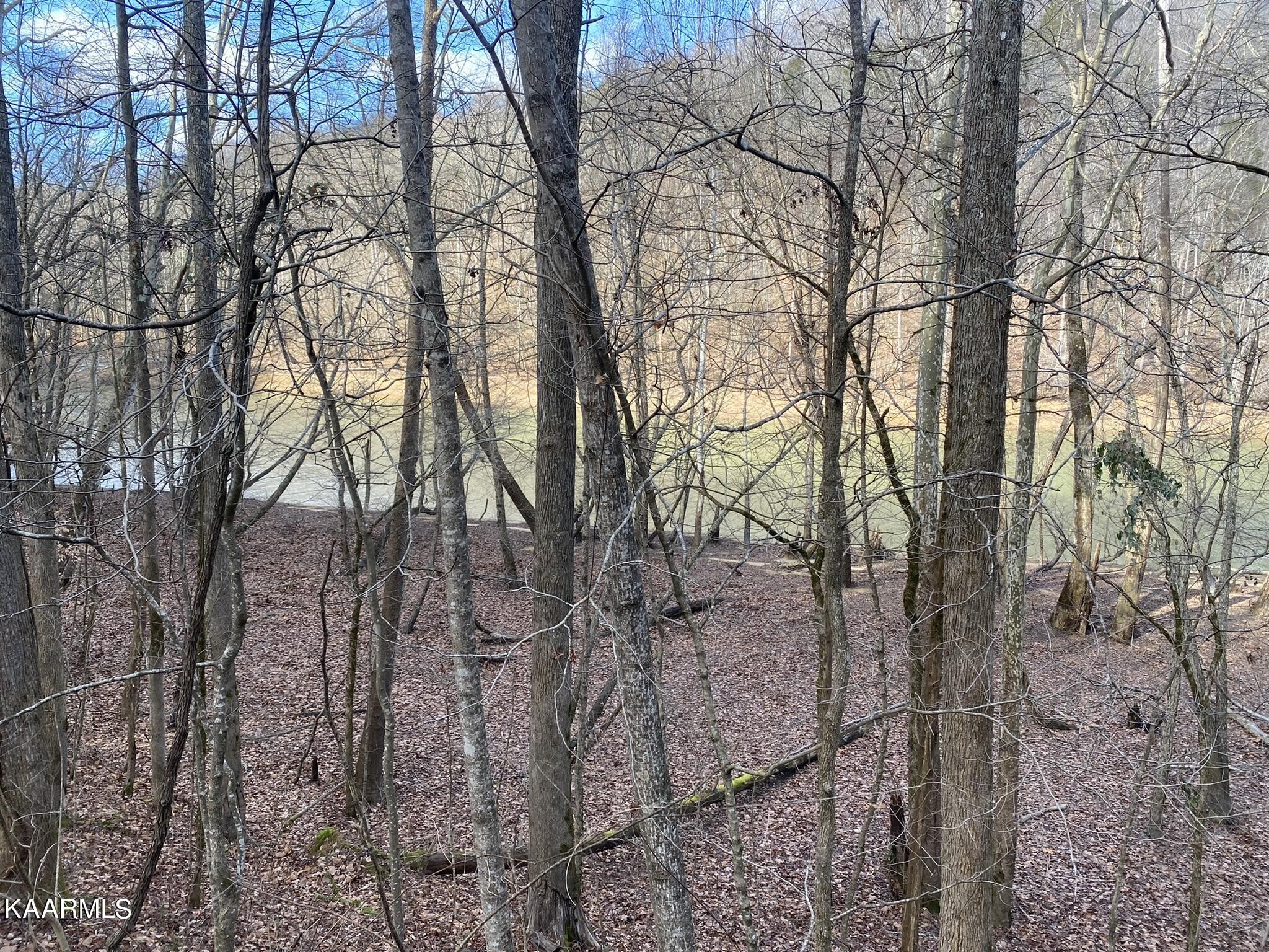 755 Compton Bottom Drive Jamestown, TN 38556 - Photo 5 of 24 a backyard of a house with lots of trees