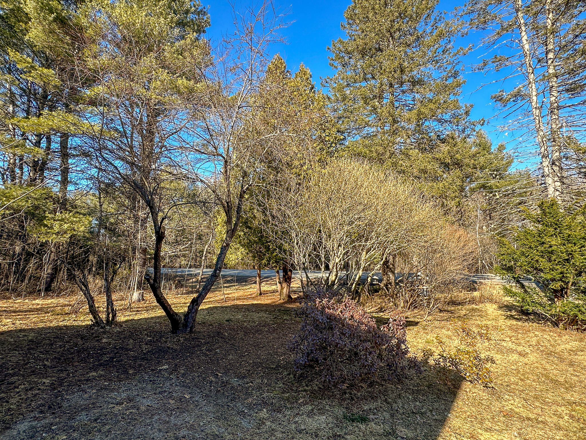 522 Main Road Passadumkeag, ME 04475 - Photo 10 of 31 10