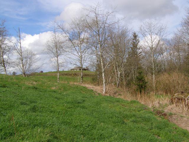 23 Skyview Road Tillamook, OR 97141 - Photo 12 of 41 P3180282