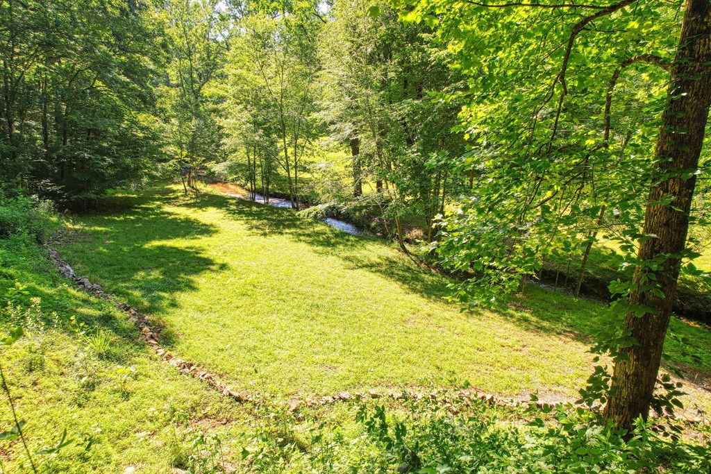 605 Owl Creek Road Hiawassee, GA 30546 - Photo 29 of 39