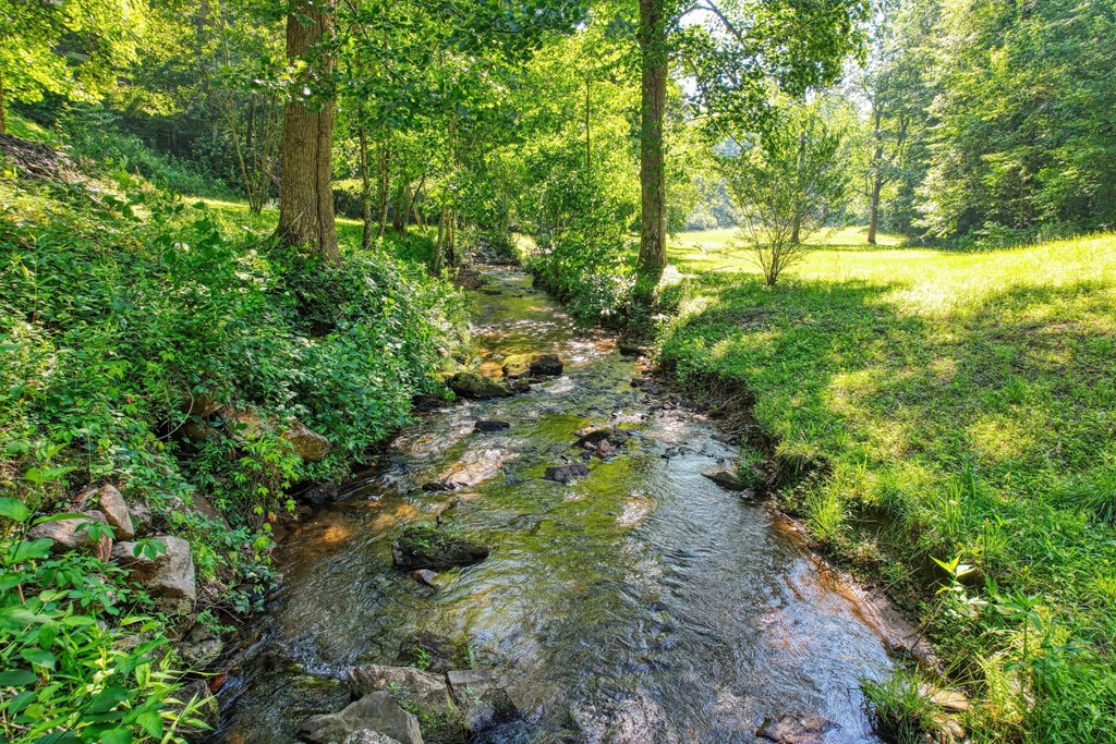 605 Owl Creek Road Hiawassee, GA 30546 - Photo 33 of 39