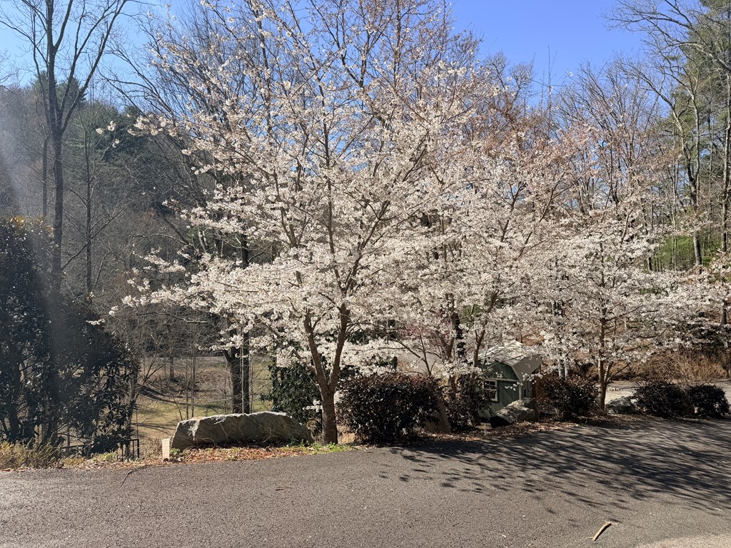 605 Owl Creek Road Hiawassee, GA 30546 - Photo 36 of 39