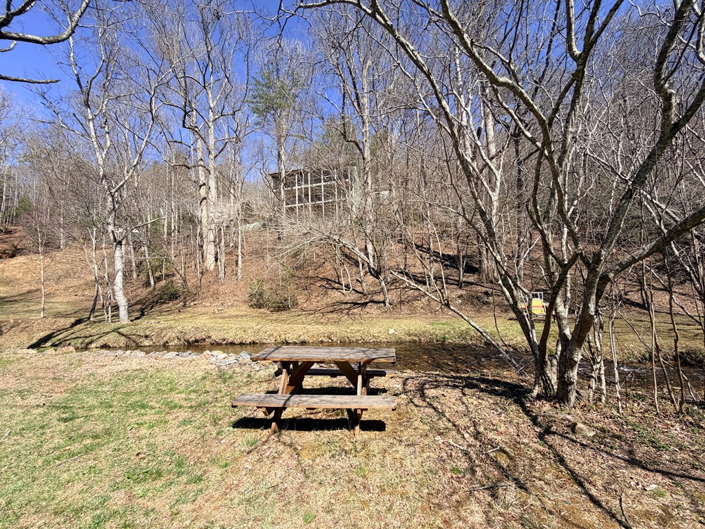 605 Owl Creek Road Hiawassee, GA 30546 - Photo 38 of 39