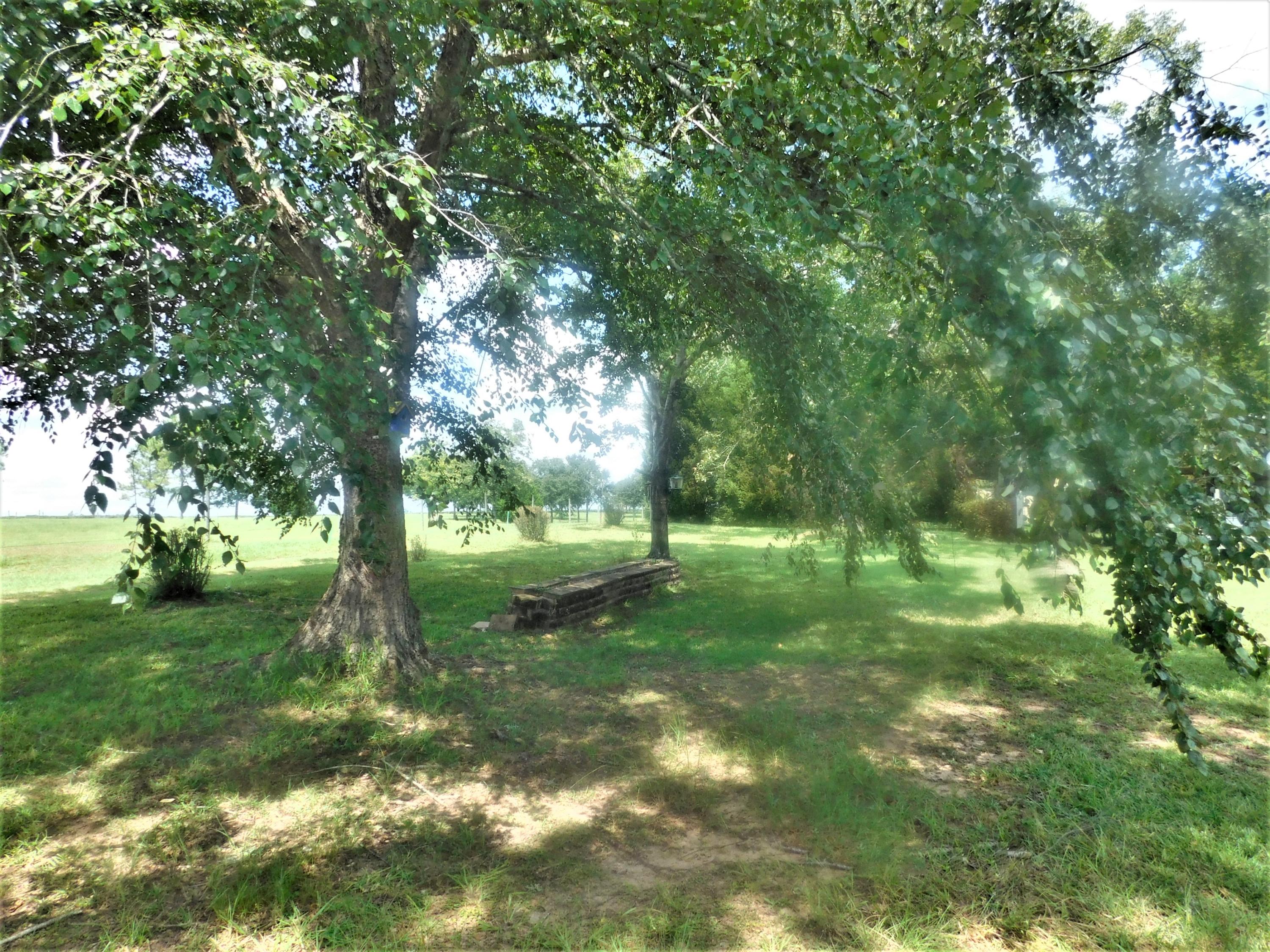 1533 Messick Road Baker, FL 32531 - Photo 11 of 40 a view of yard with trees in the background