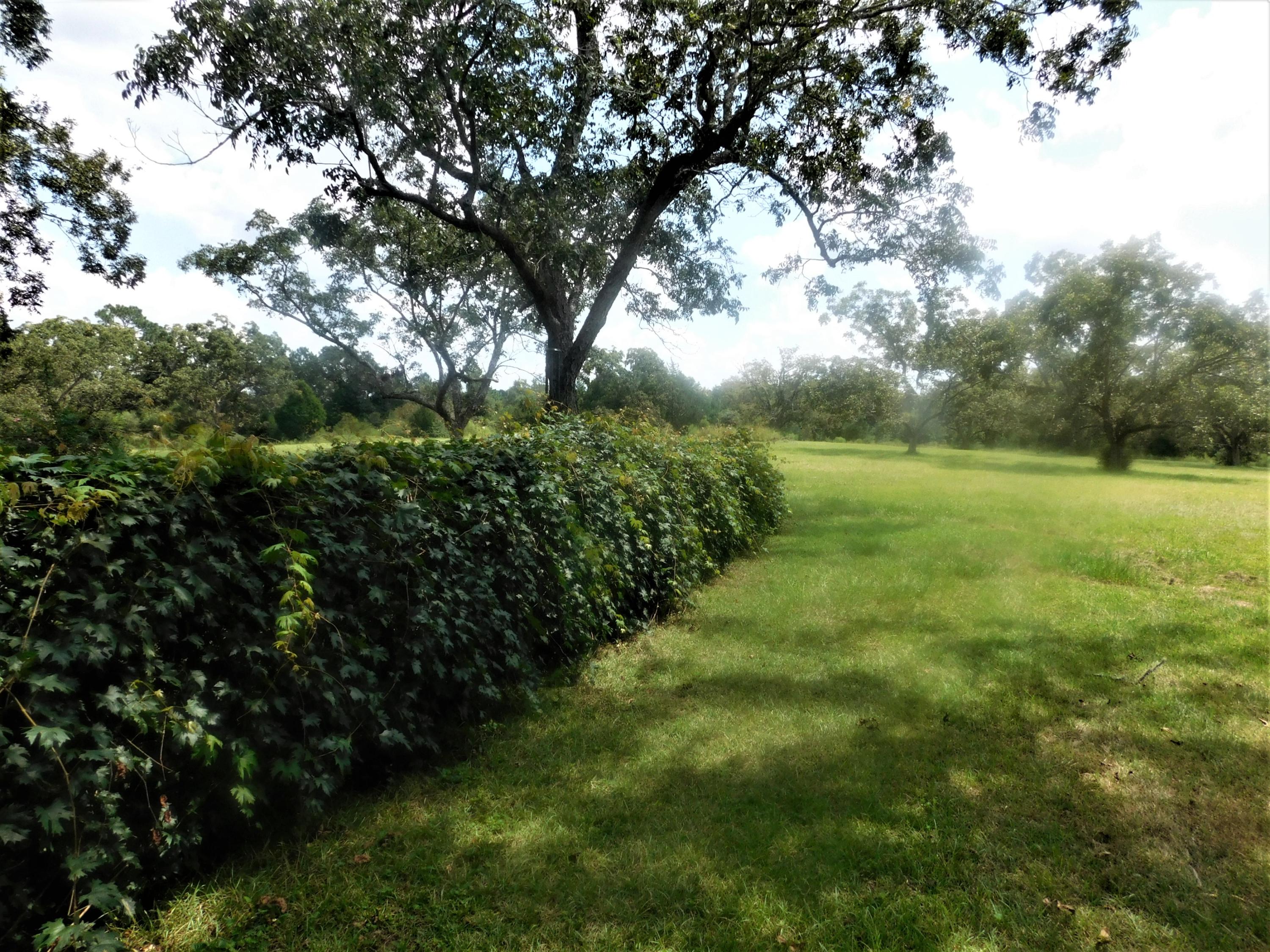 1533 Messick Road Baker, FL 32531 - Photo 12 of 40