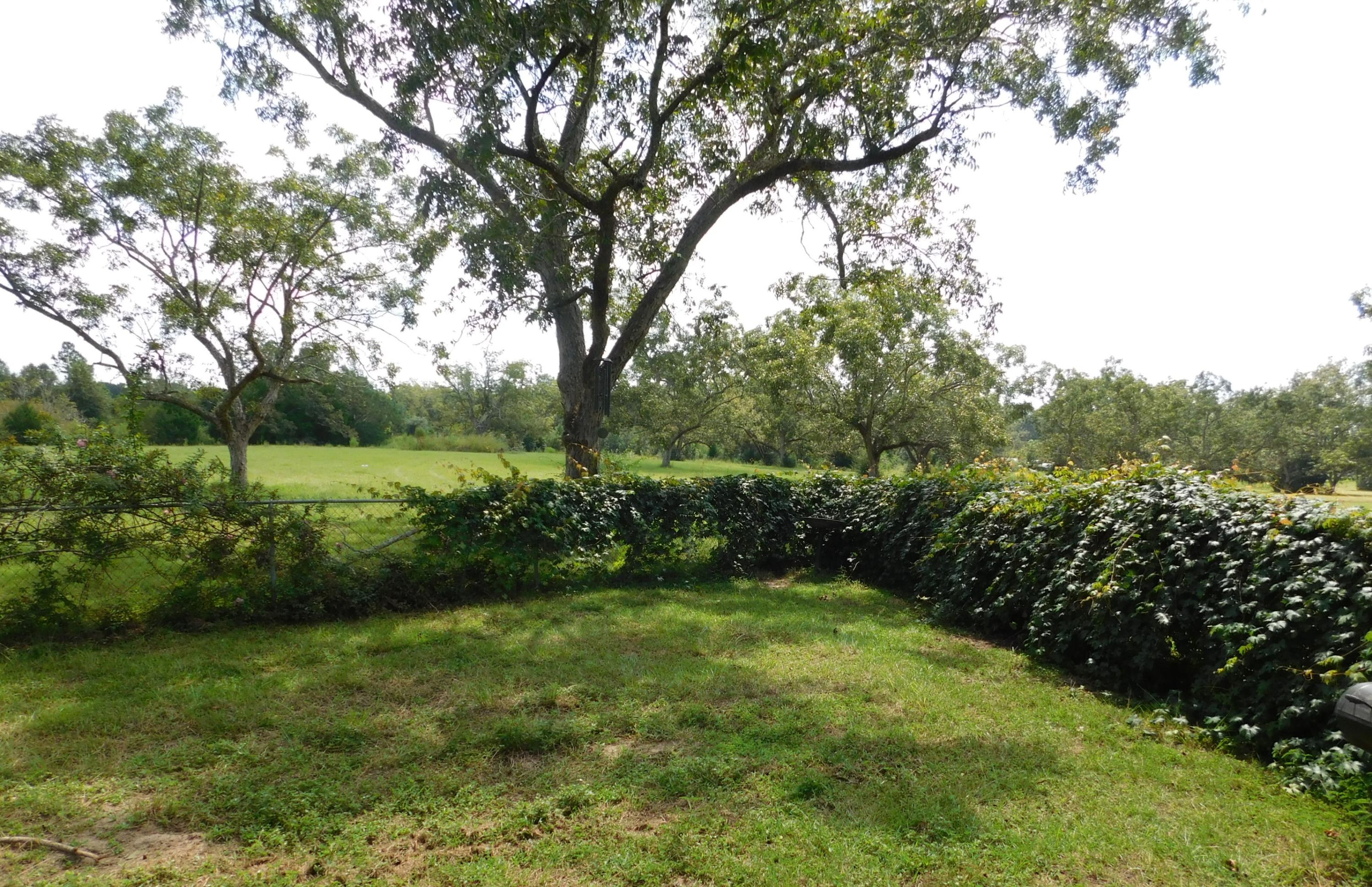 1533 Messick Road Baker, FL 32531 - Photo 13 of 40 a view of a garden