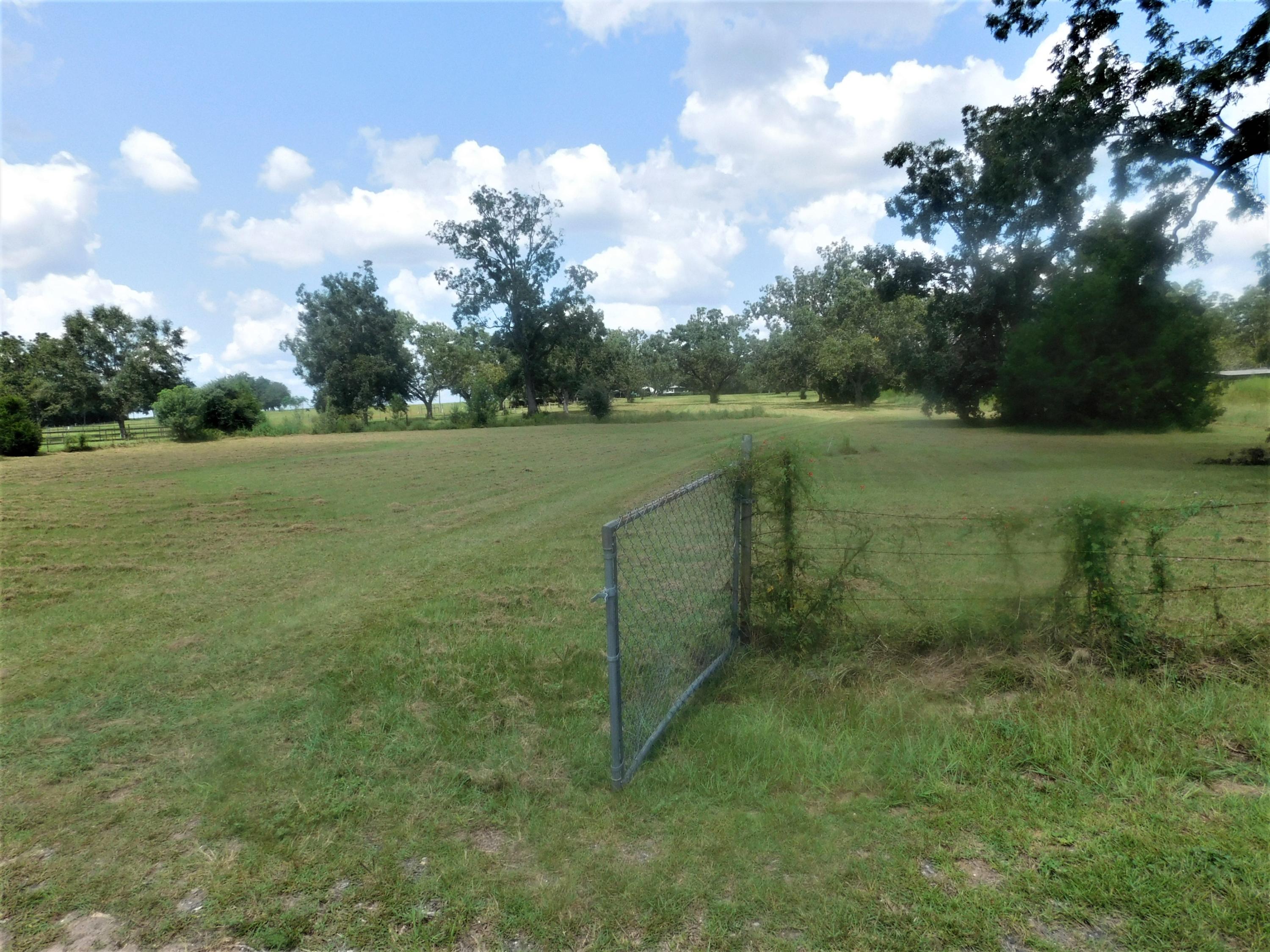 1533 Messick Road Baker, FL 32531 - Photo 33 of 40 a view of outdoor space and yard