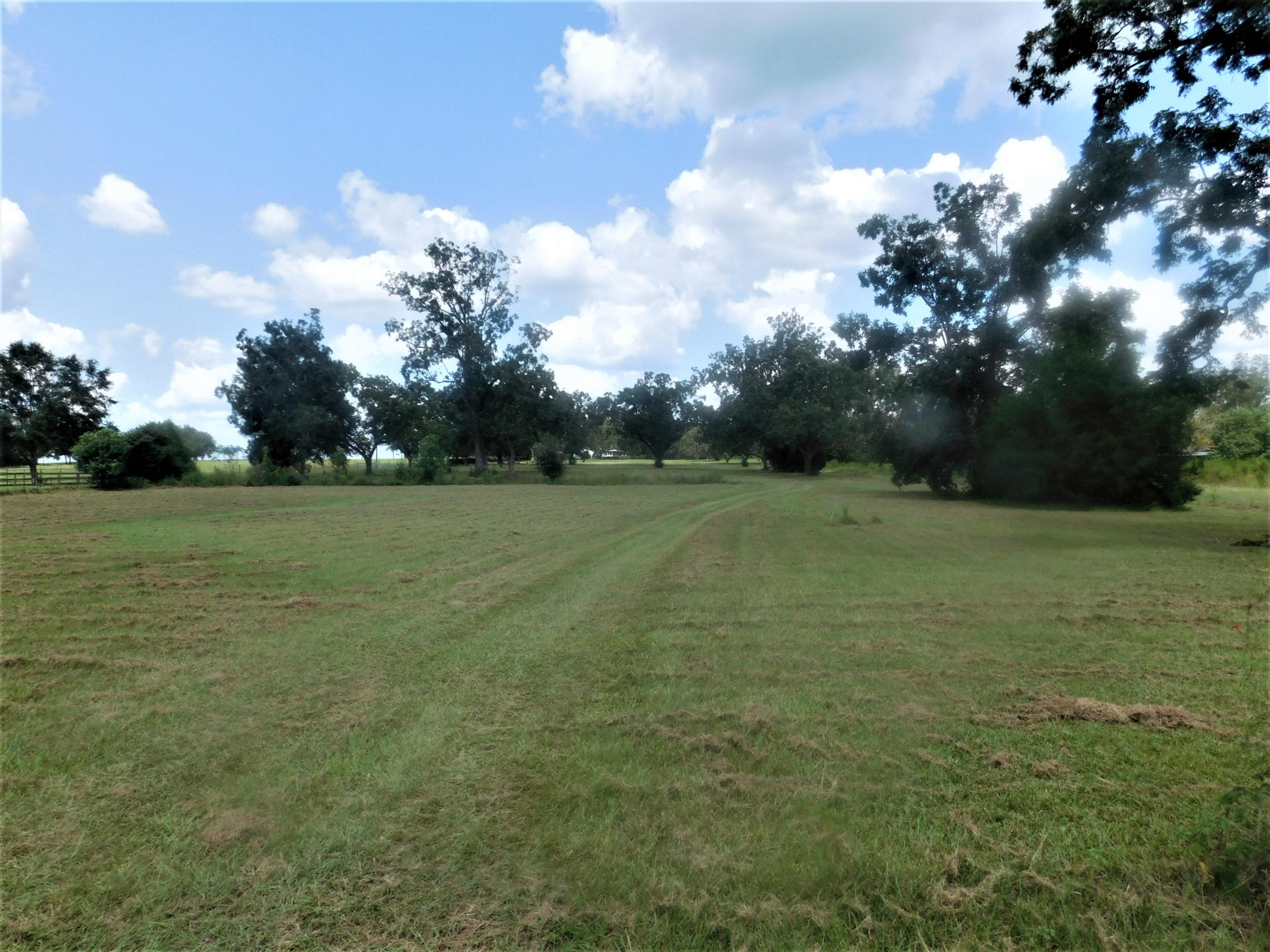 1533 Messick Road Baker, FL 32531 - Photo 34 of 40 a view of a grassy field with trees in the background