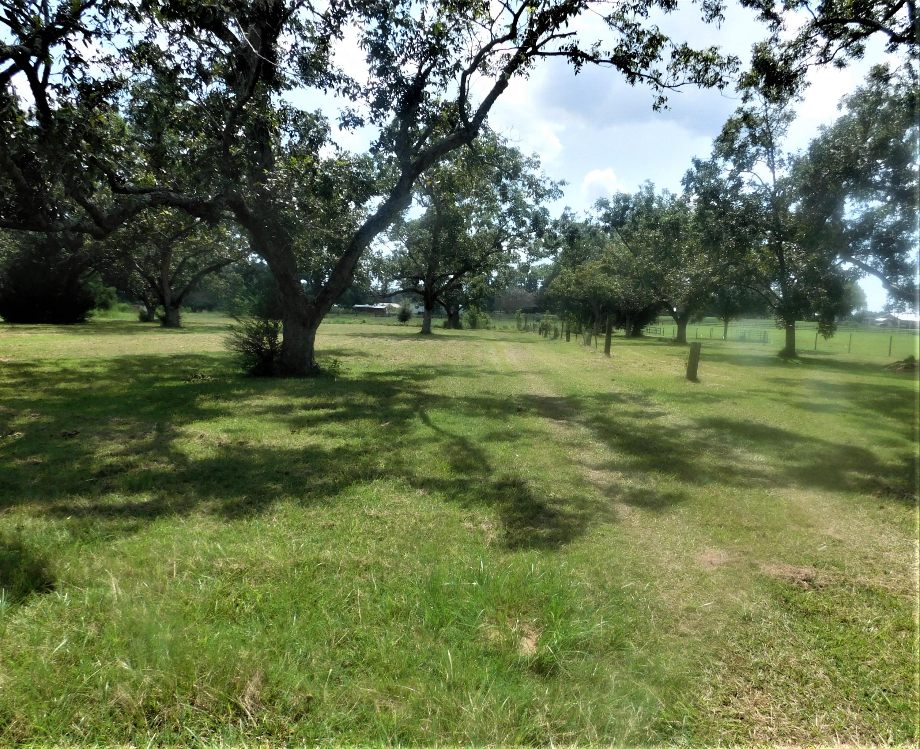 1533 Messick Road Baker, FL 32531 - Photo 37 of 40 a view of outdoor space with trees all around